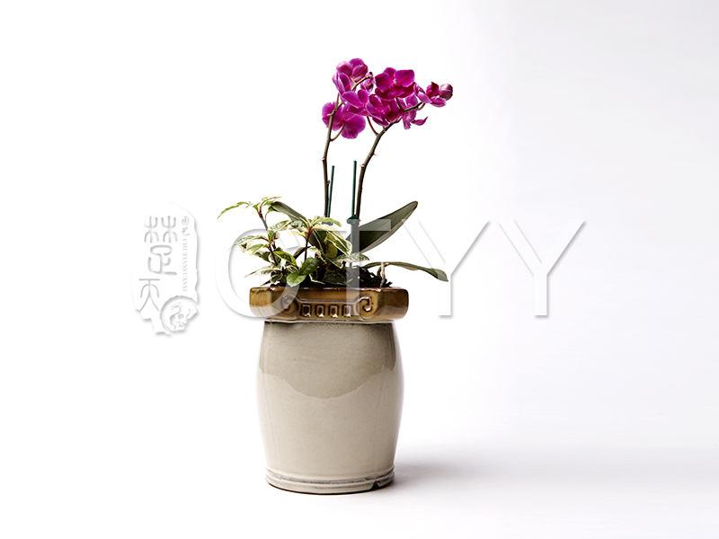 產(chǎn)品名稱